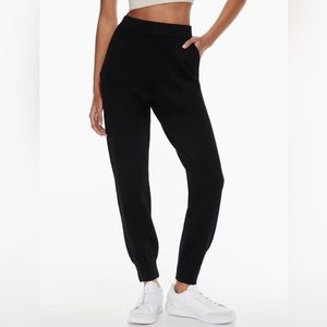 Aritzia Babaton Rodin Jogger